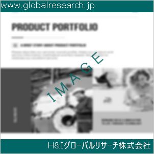 グローバルリサーチ調査資料のイメージ